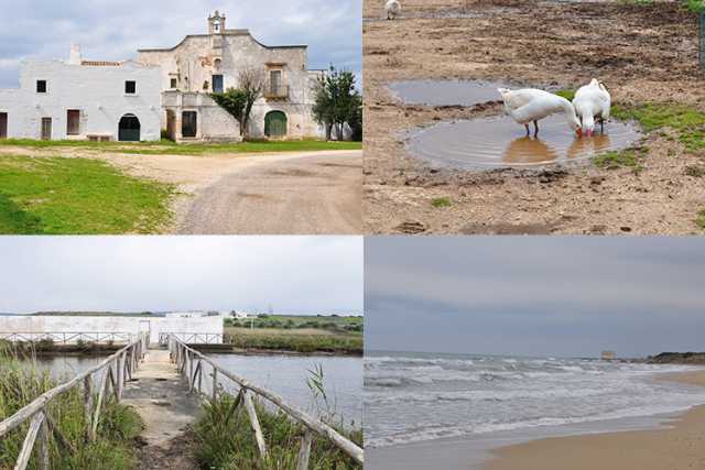 Dolmen, masserie, torrenti e spiagge: a fianco alla statale c'� il Parco dune costiere